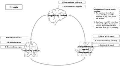 Primum non nocere; It’s time to consider altitude training as the medical intervention it actually is!